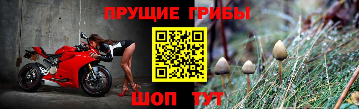 Псилоцибиновые грибы мицелий Камышлов